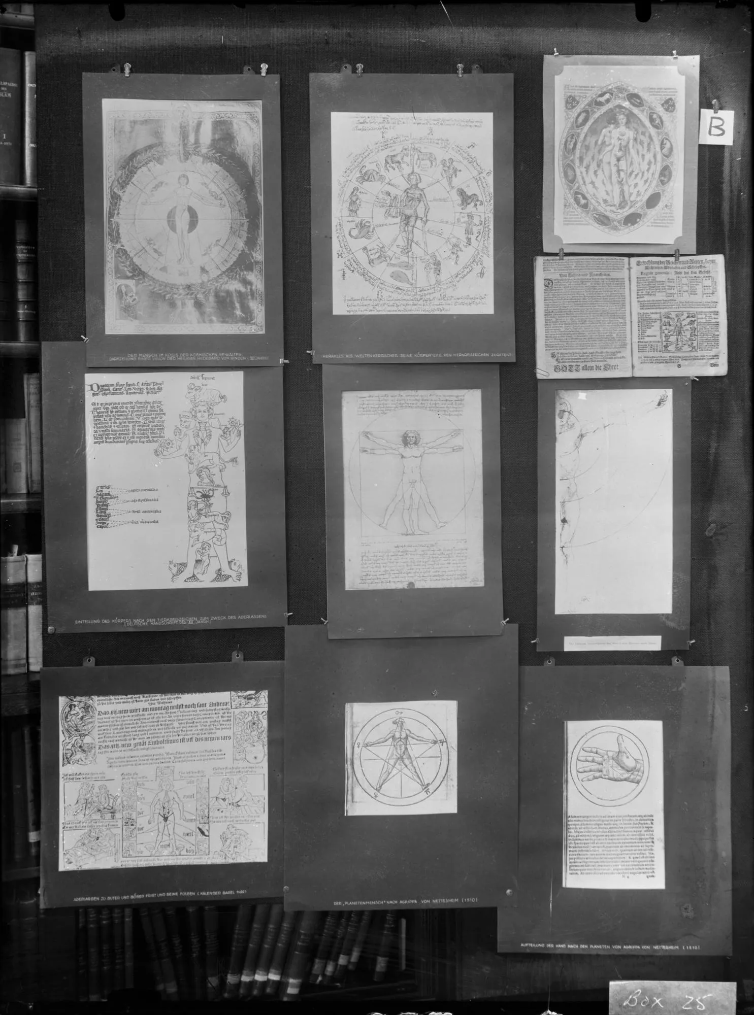 Aby Warburg, [Panel B from _Bilderatlas Mnemosyne_](https://warburg.library.cornell.edu/panels/panel-b/), 1927–29. Photograph from the Warburg Institute Archive, presented by Cornell University Library in partnership with the Warburg Institute.